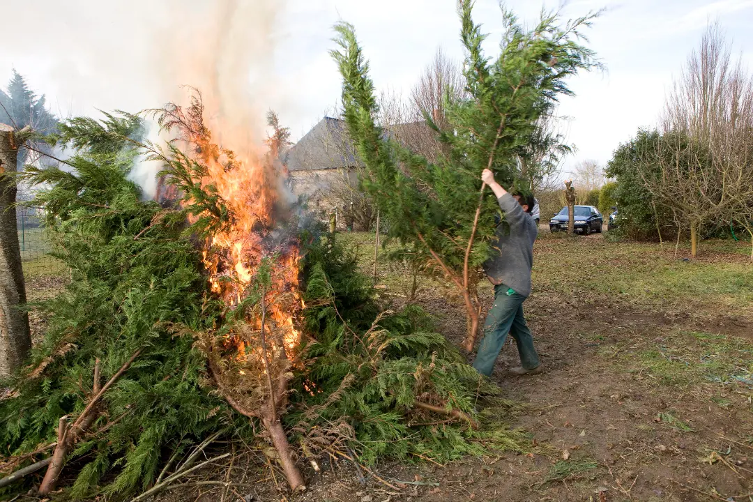 Fumée épaisse provenant du brûlage de déchets verts dans un jardin