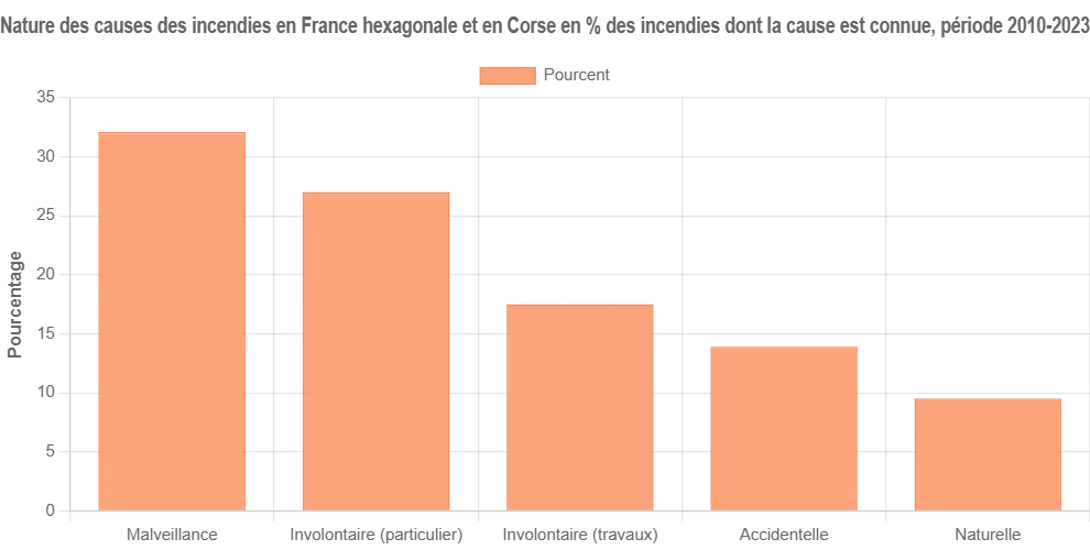 Un tableau récapitulatif graphique montrant la répartition des causes de feux de forêt en pourcentage