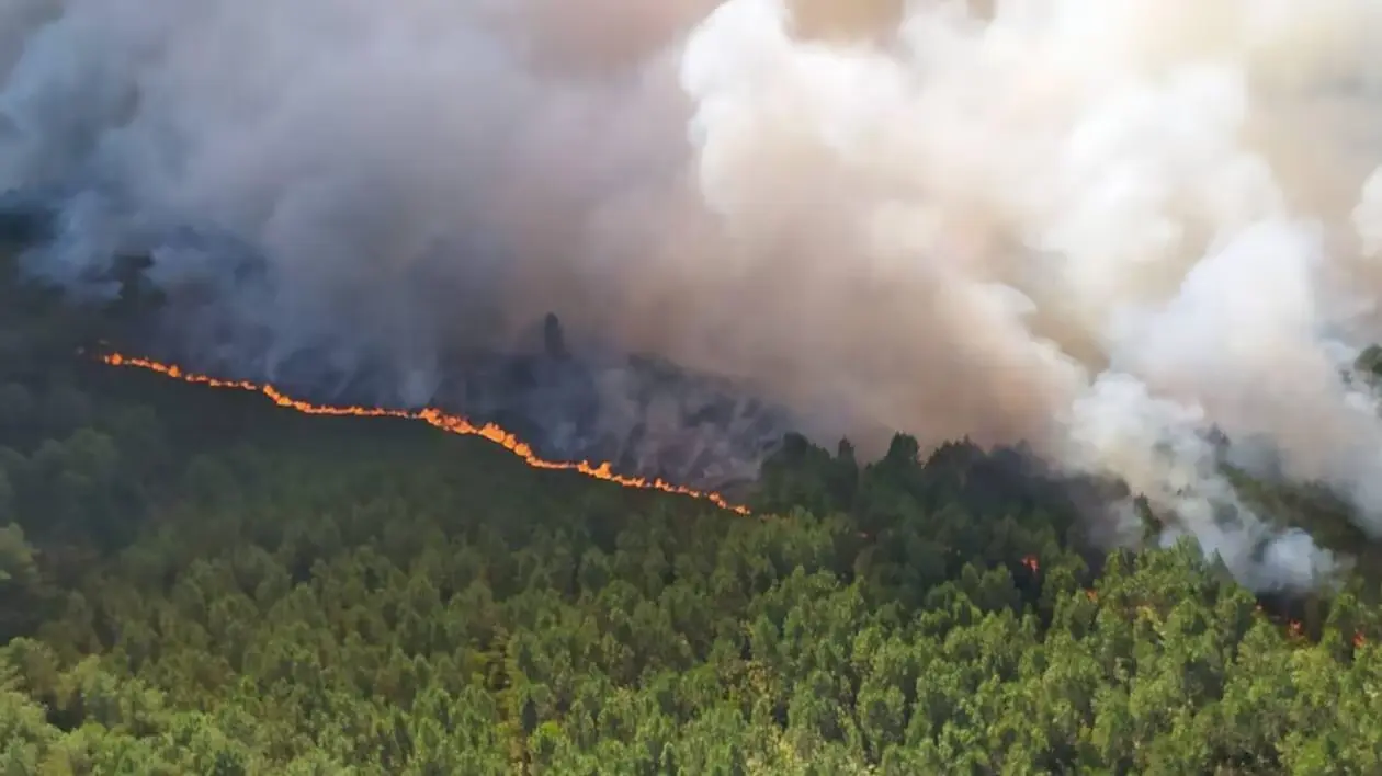 Incendie de forêt à Baugé-en-Anjou en 2022