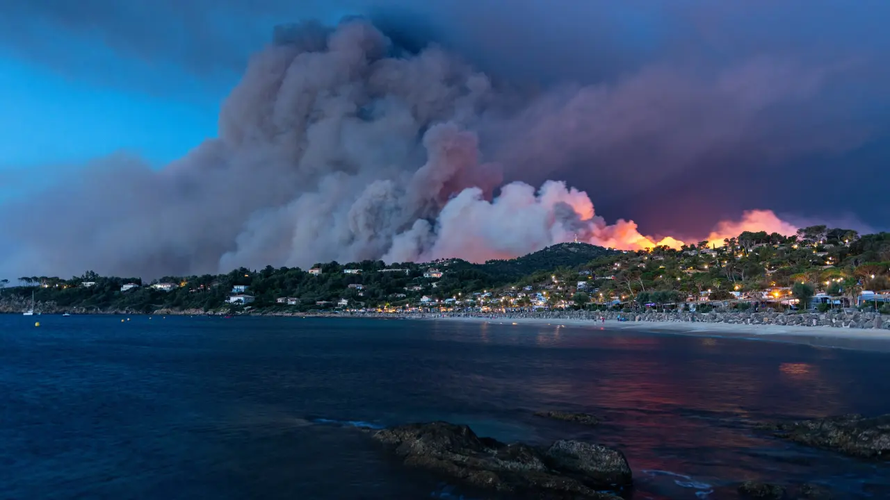 Un panache de fumée menaçant s'élevant au-dessus d'une forêt