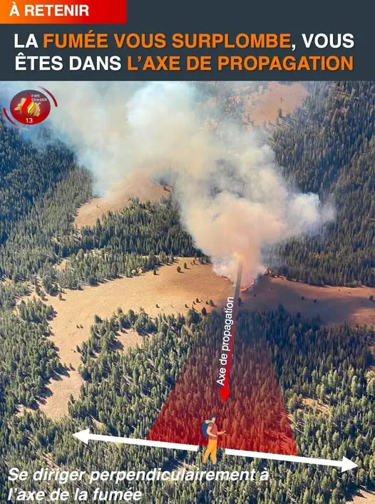 Schéma simplifié montrant un panache de fumée et la direction à prendre pour fuir perpendiculairement au vent